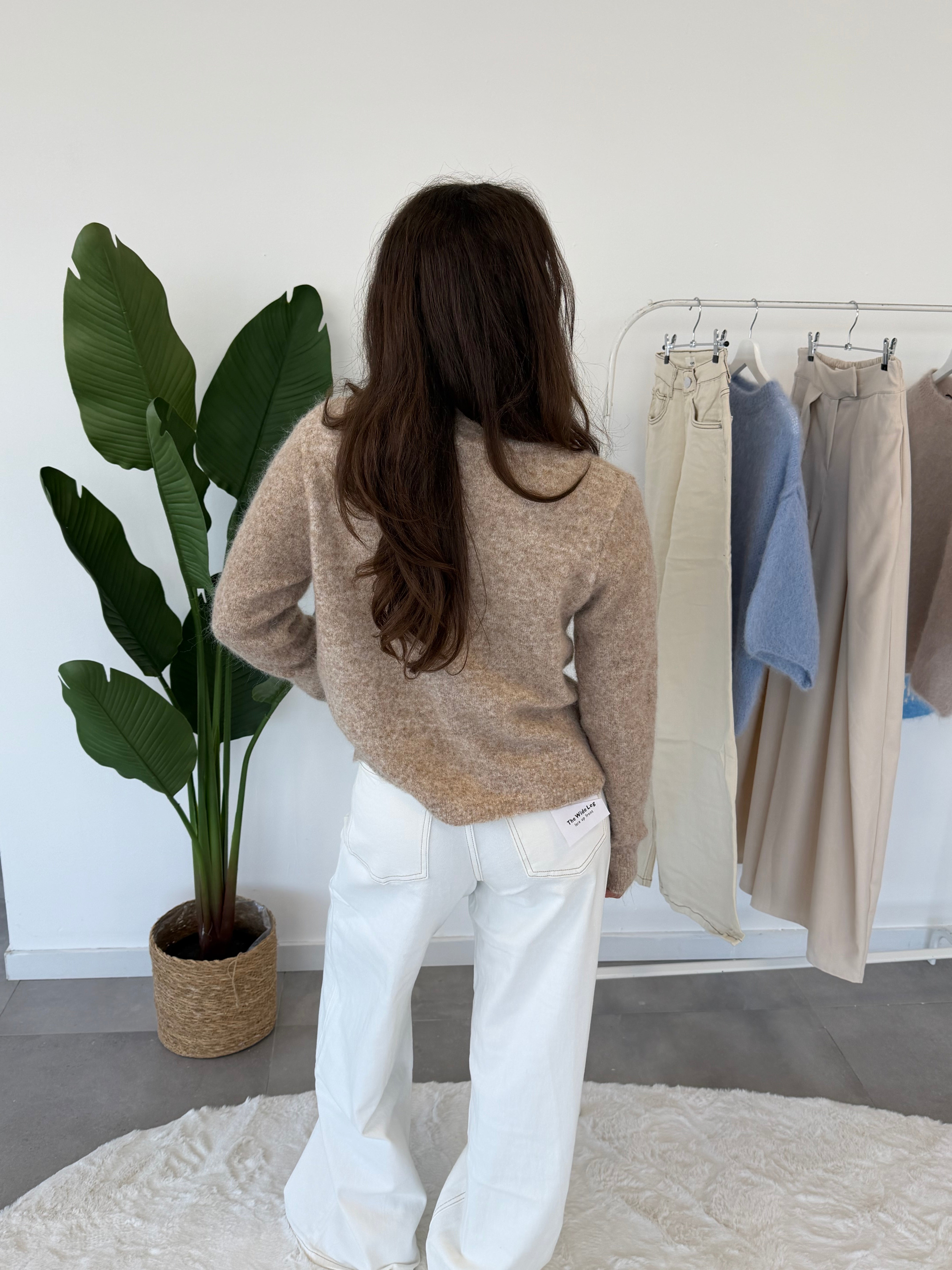 Seraya vestje – fijngebreid damesvest, achteraanzicht in beige/bruin tint